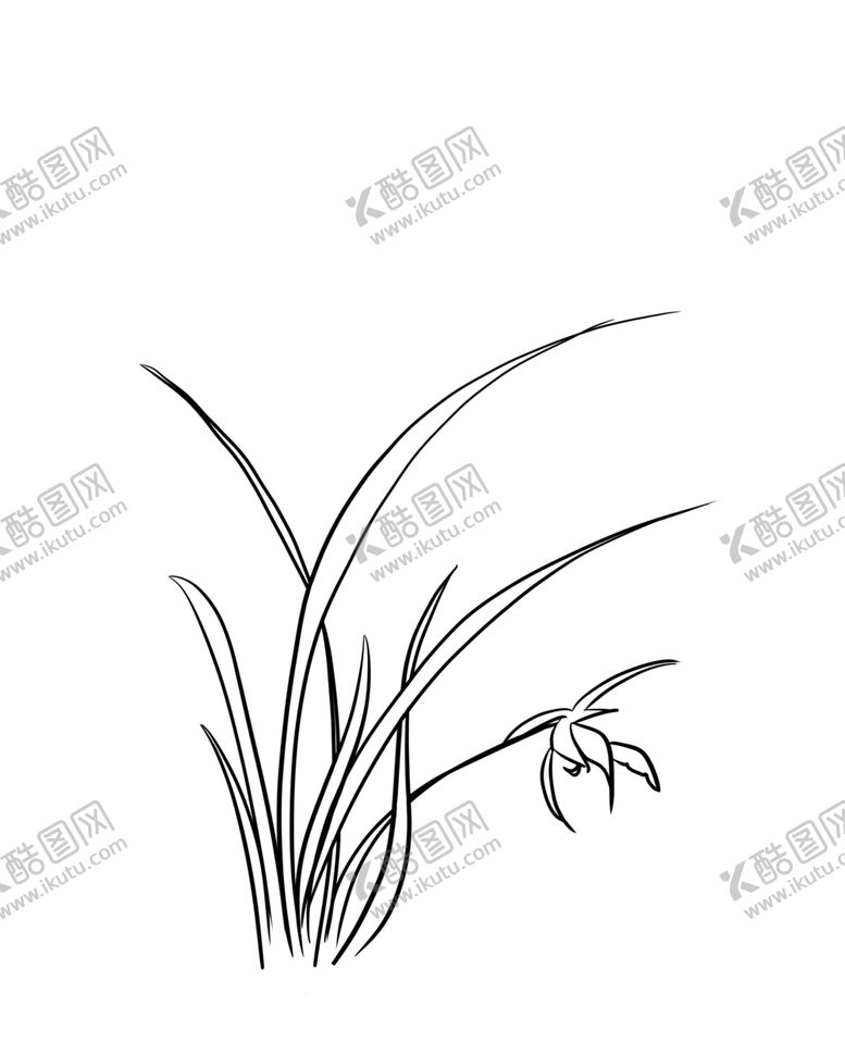 编号：55474010051725373164【酷图网】源文件下载-兰花
