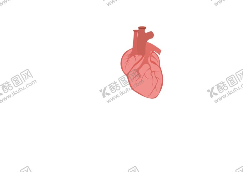 编号：28457509290559183200【酷图网】源文件下载-心脏