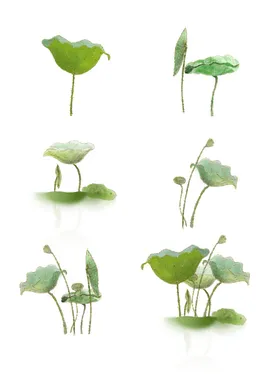 荷花莲设计图标莲元素底纹