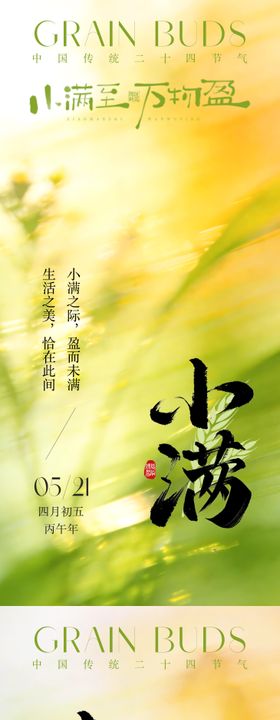 小满节气插画海报
