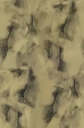 扎染大牌印花数码印花