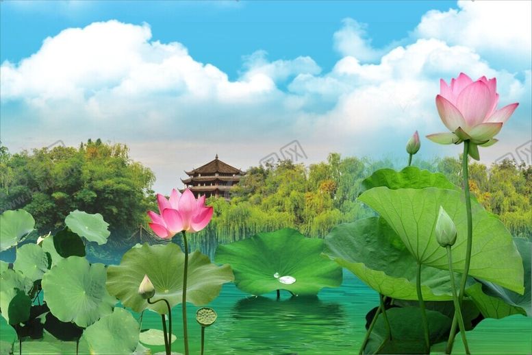 编号：34875801210925593305【酷图网】源文件下载-新都桂湖公园荷花