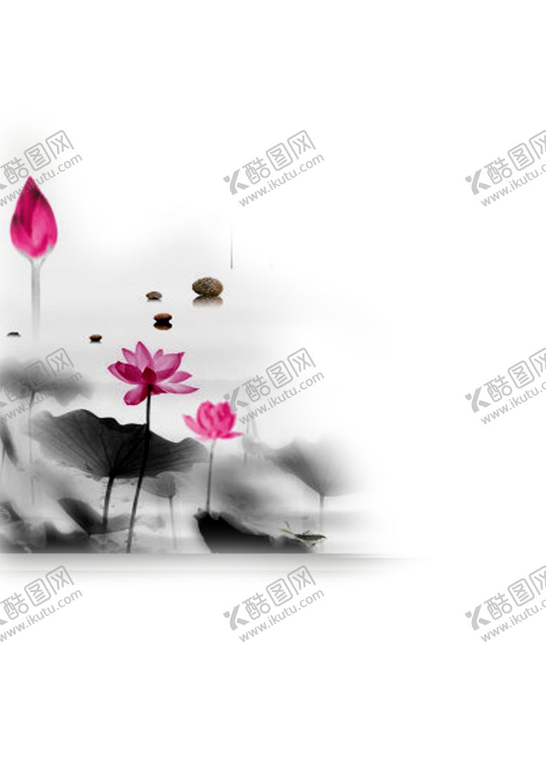编号：98045404261057255622【酷图网】源文件下载-水墨荷花粉色荷花荷花意境