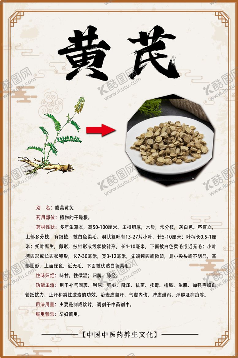 编号：27659610171656085175【酷图网】源文件下载-黄芪海报