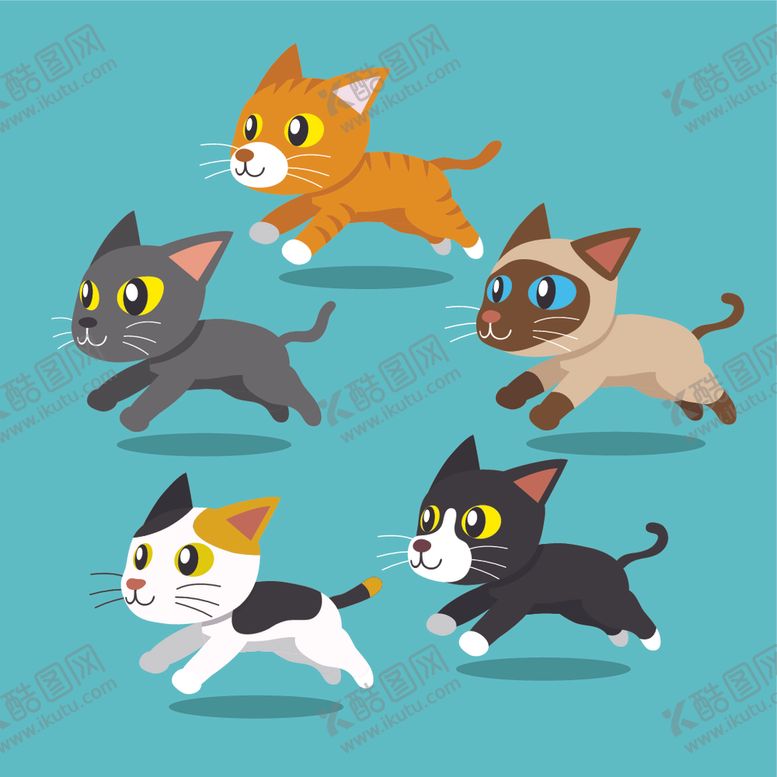 编号：39927410222033168517【酷图网】源文件下载-可爱小猫