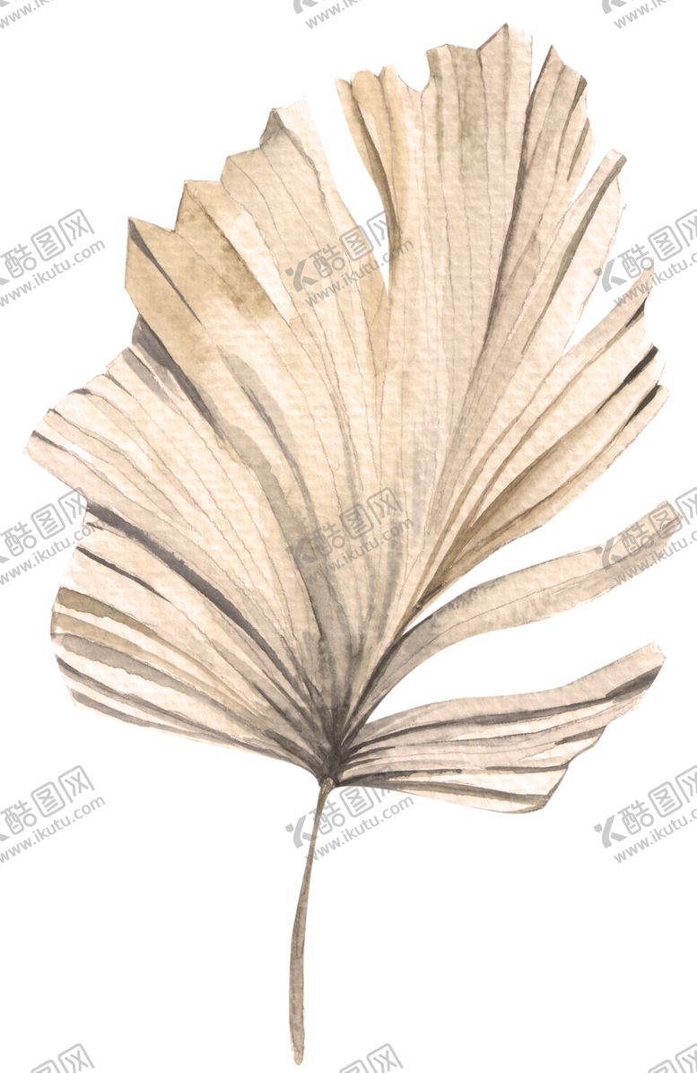 编号：33122507141359235849【酷图网】源文件下载-北欧小清新水彩植物图案