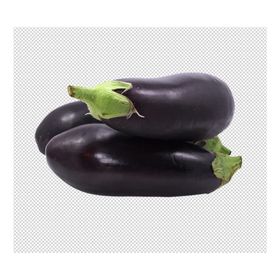 茄子圆茄子透明底蔬菜免抠