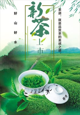 新茶上市