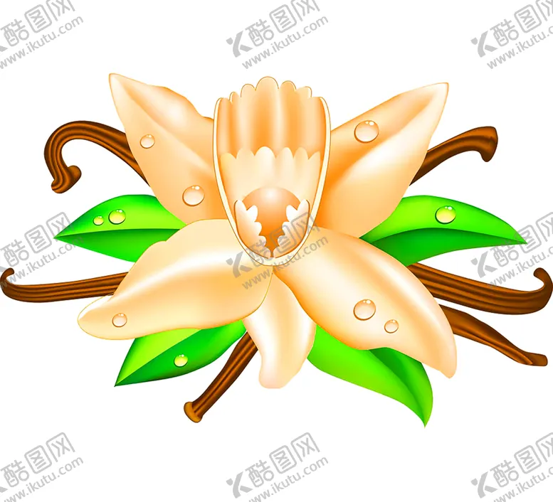 编号：70354606261929542507【酷图网】源文件下载-鲜花装饰