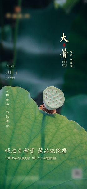 大暑小暑处暑立夏夏至海报
