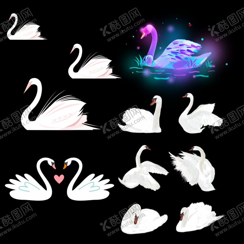 编号：46557209250145529264【酷图网】源文件下载-天鹅素材