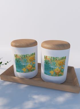 茶叶罐样机