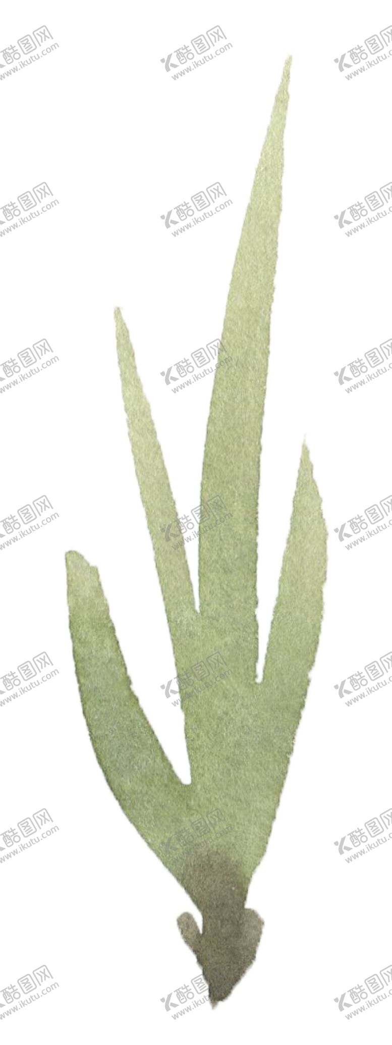 编号：21592109260852548350【酷图网】源文件下载-手绘植物花卉
