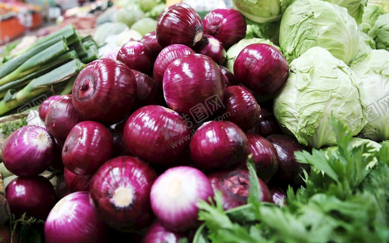 编号：72147304030500142050【酷图网】源文件下载-洋葱
