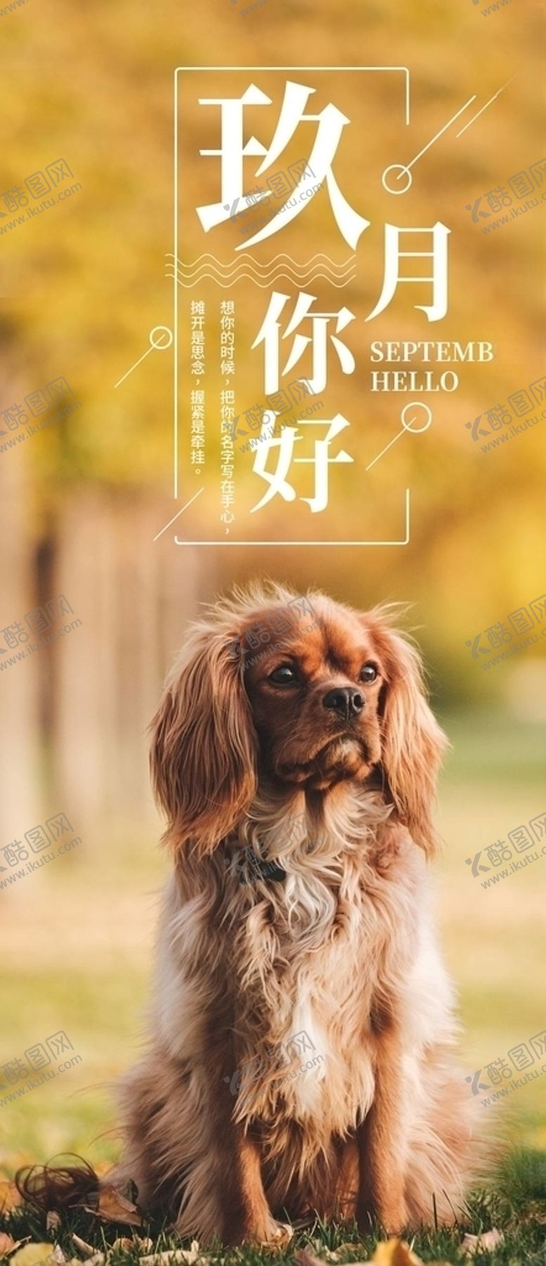 编号：18850405030635382312【酷图网】源文件下载-你好九月