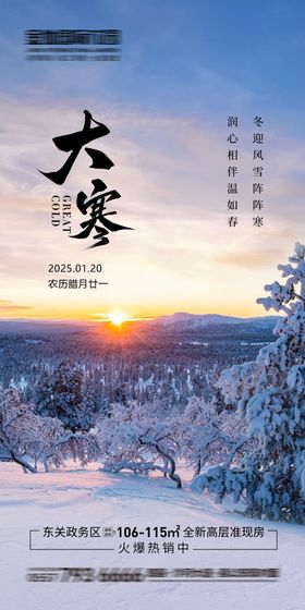 大寒节气海报雪景天空地产二十四