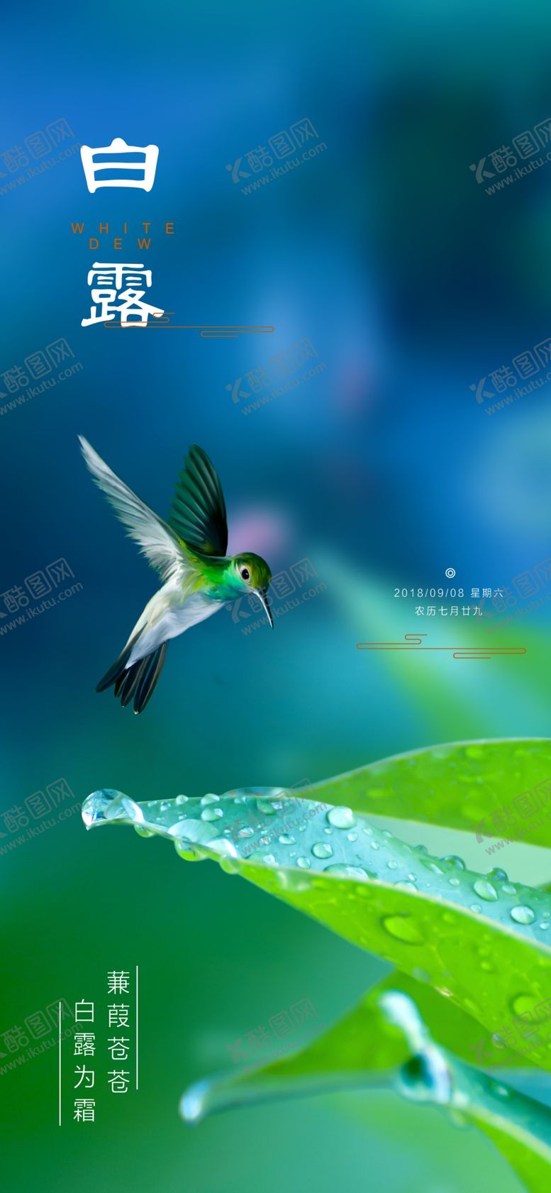 编号：25377909200921345403【酷图网】源文件下载-白露