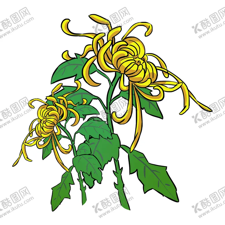 编号：56401512300734065221【酷图网】源文件下载-卡通手绘水墨菊花水彩花卉   