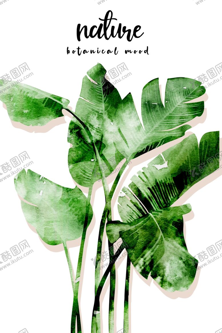 编号：54938005021134556831【酷图网】源文件下载-植物装饰画图片