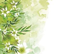 手绘花草背景图片
