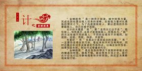 金蝉脱壳
