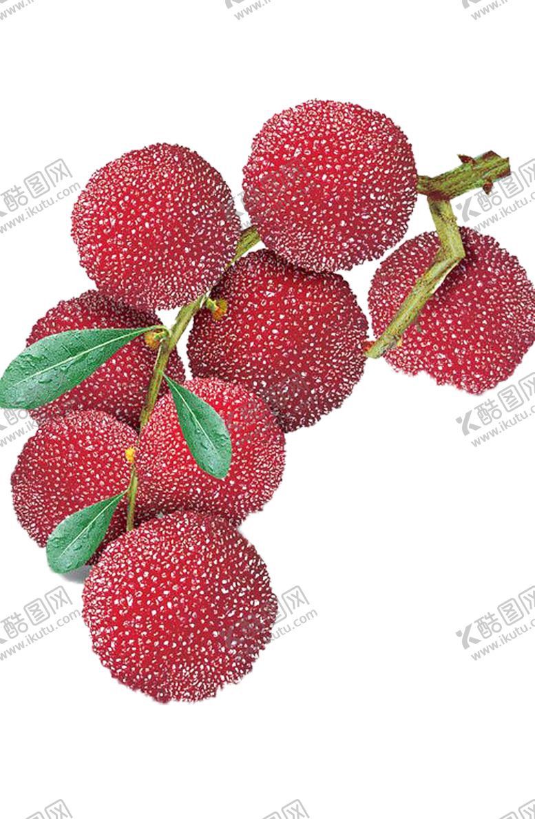 编号：66721509161240217352【酷图网】源文件下载-水果