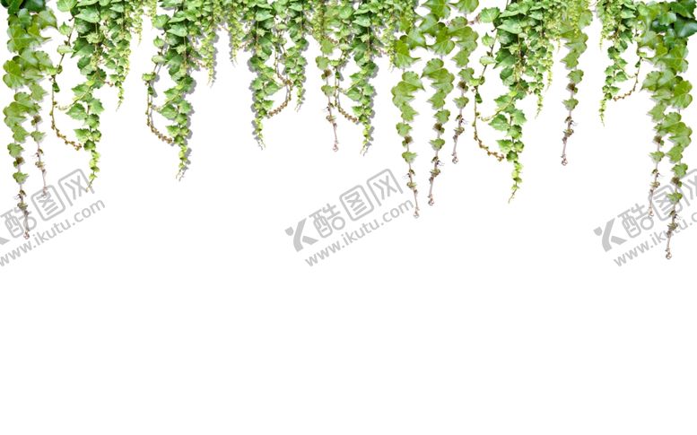 编号：92625810251858208566【酷图网】源文件下载-藤条