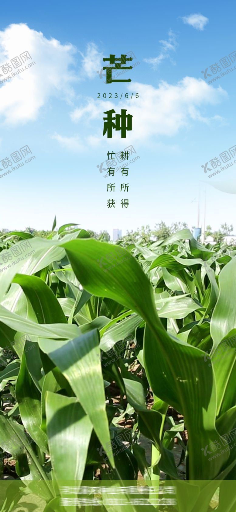 编号：13154601191619264854【酷图网】源文件下载-芒种
