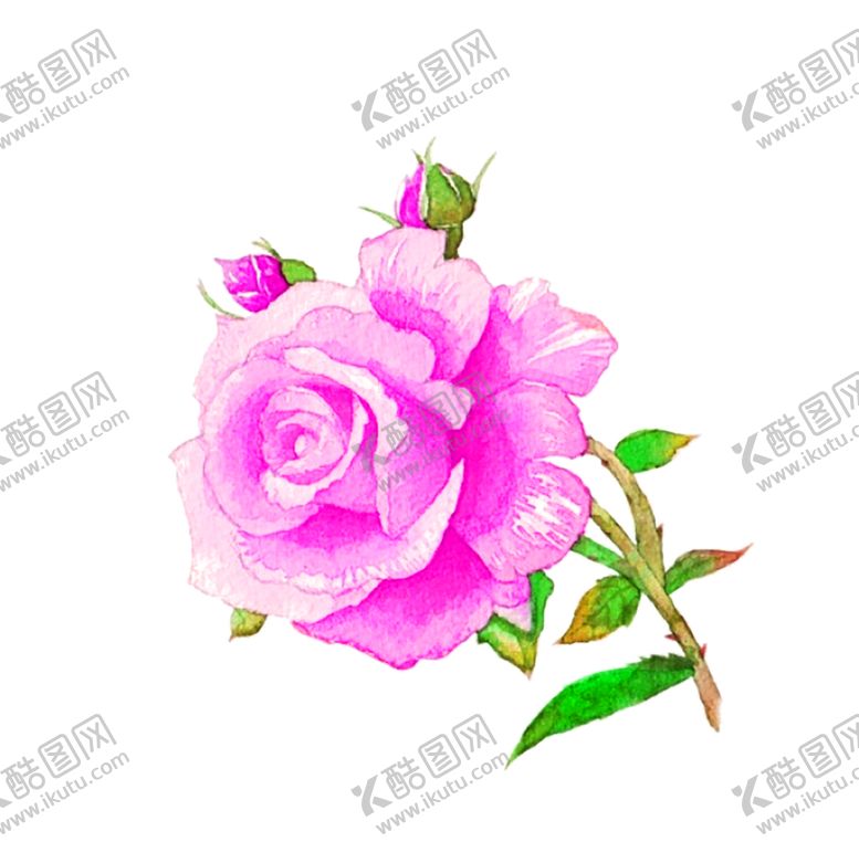 编号：38472010311327273766【酷图网】源文件下载-鲜花素材