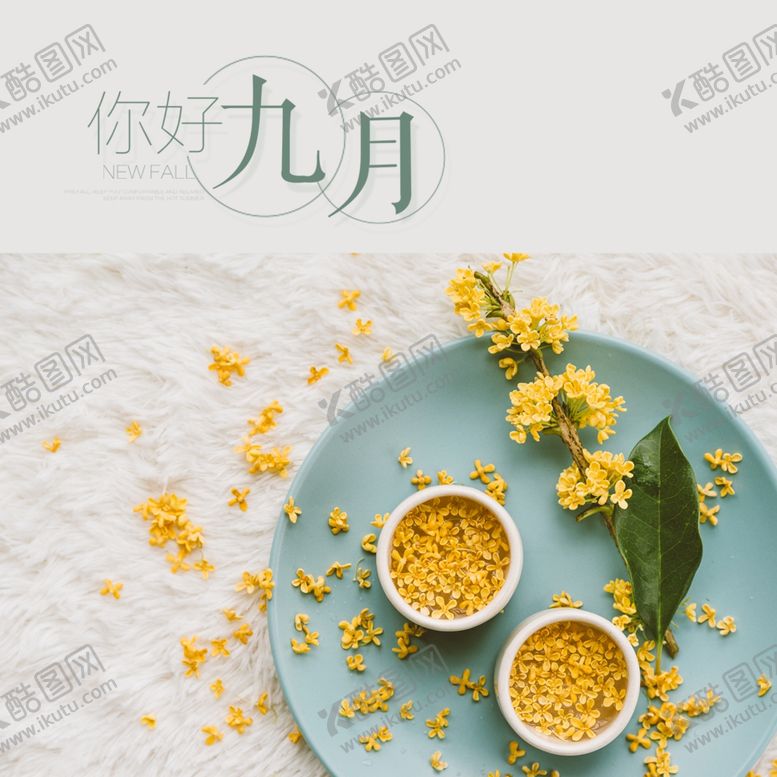 编号：24614609241723213577【酷图网】源文件下载-九月你好