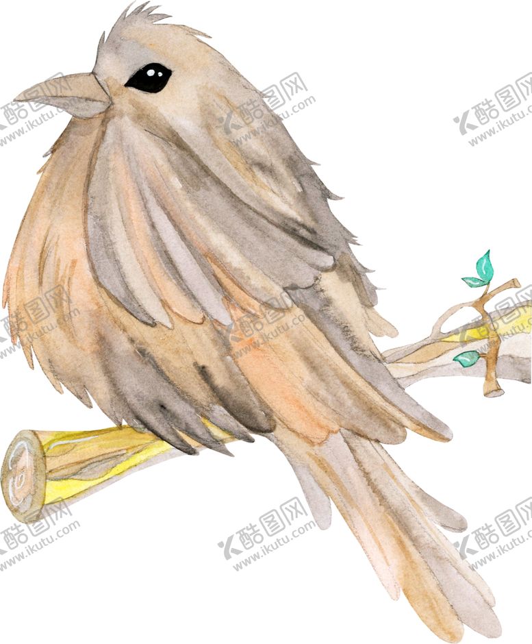 编号：92035406281056375975【酷图网】源文件下载-水彩插画鸟图案