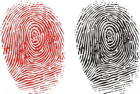 指纹