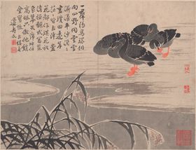 芦墟