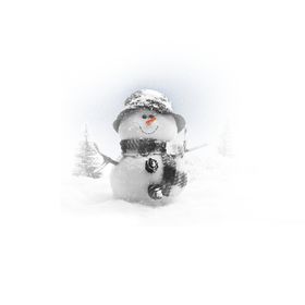 雪人天寒地冻冬天你好冬季花