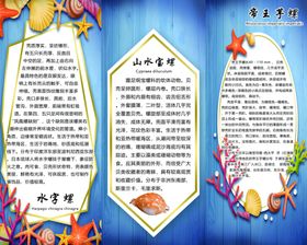 水字螺山水宝螺