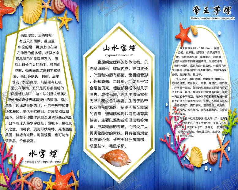 编号：93943310300242144529【酷图网】源文件下载-水字螺山水宝螺