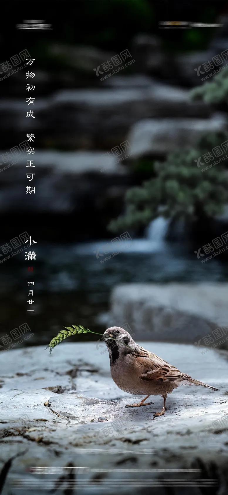 编号：73128111282213368963【酷图网】源文件下载-房地产中式小满海报