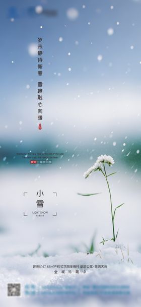 小雪海报