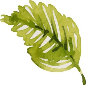 彩绘花卉