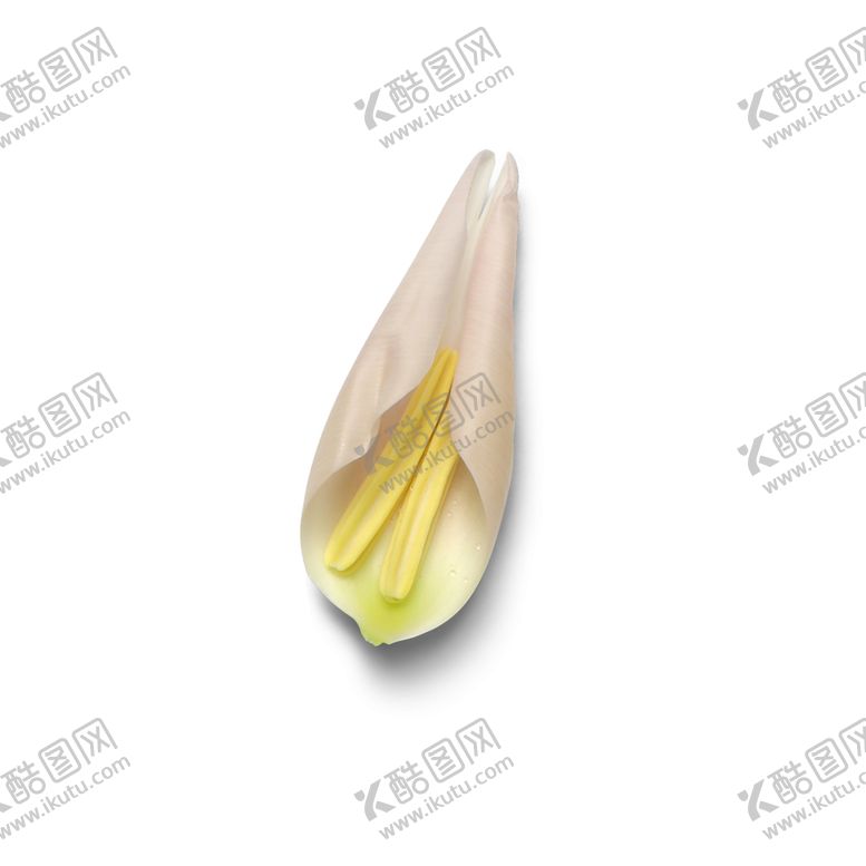 编号：92082906250946567795【酷图网】源文件下载-花瓣