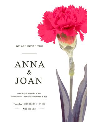 单支康乃馨花卉海报