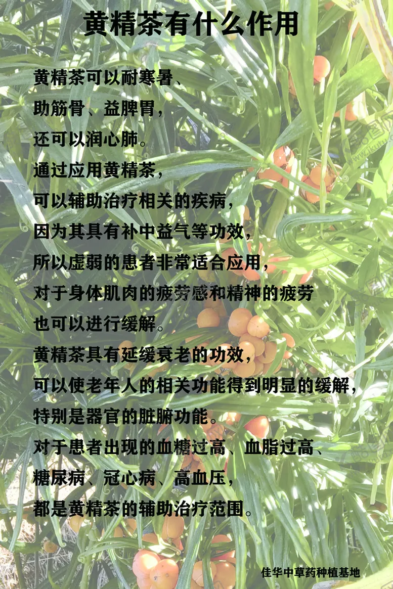 编号：30825709150109072983【酷图网】源文件下载-黄精海报风景