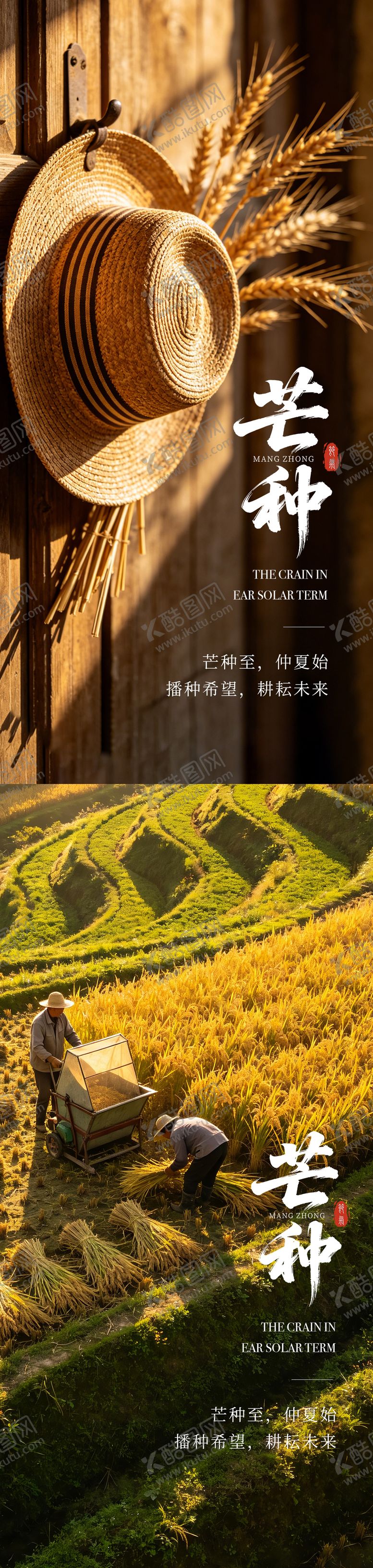编号：81030105312335208003【酷图网】源文件下载-芒种节气海报