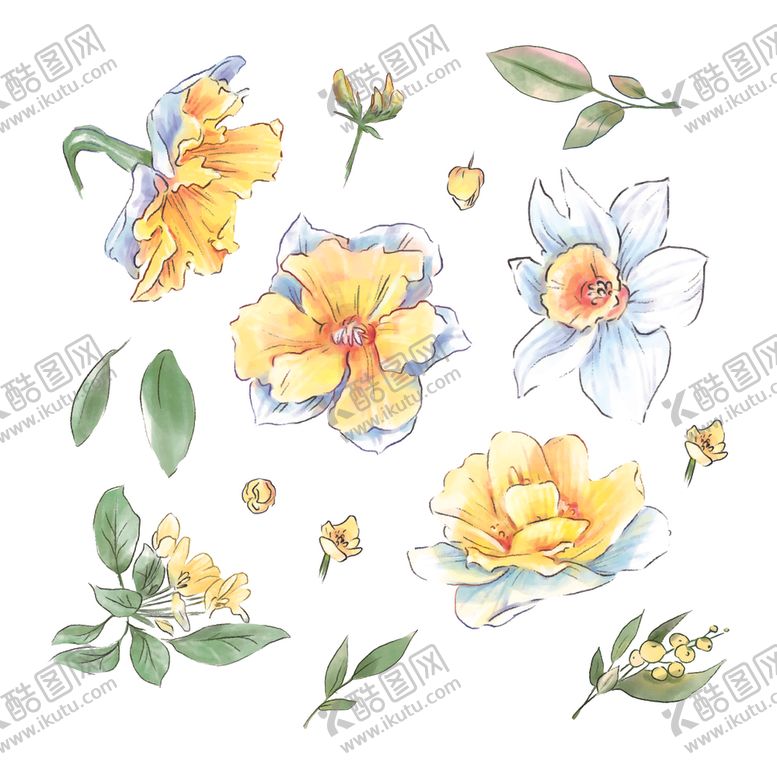 编号：42906705030334595286【酷图网】源文件下载-绿植花卉