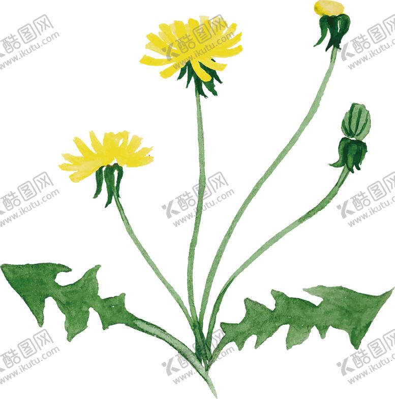 编号：31700710201808481018【酷图网】源文件下载-绿色背景