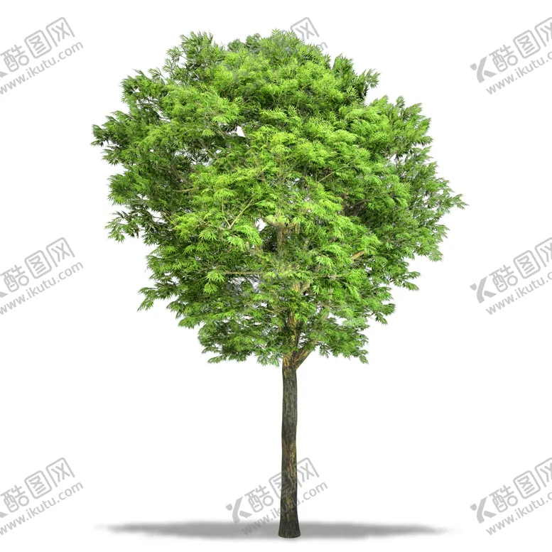 编号：23862706291332211392【酷图网】源文件下载-绿色相框