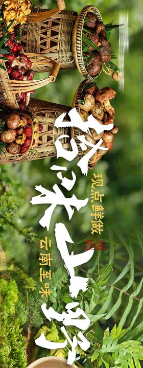 山野风云南菜五连图