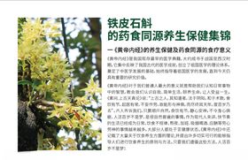 铁皮石斛药食同源手册