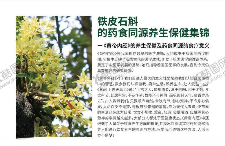 编号：45409507080431143258【酷图网】源文件下载-铁皮石斛药食同源手册