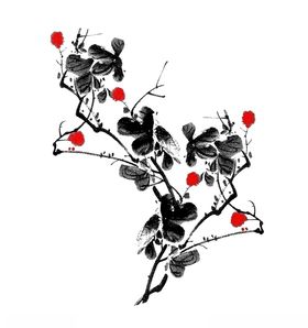 花枝